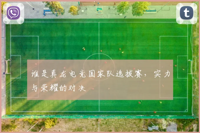 谁是真龙电竞国家队选拔赛,实力与荣耀的对决