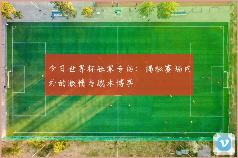 今日世界杯独家专访：揭秘赛场内外的激情与战术博弈