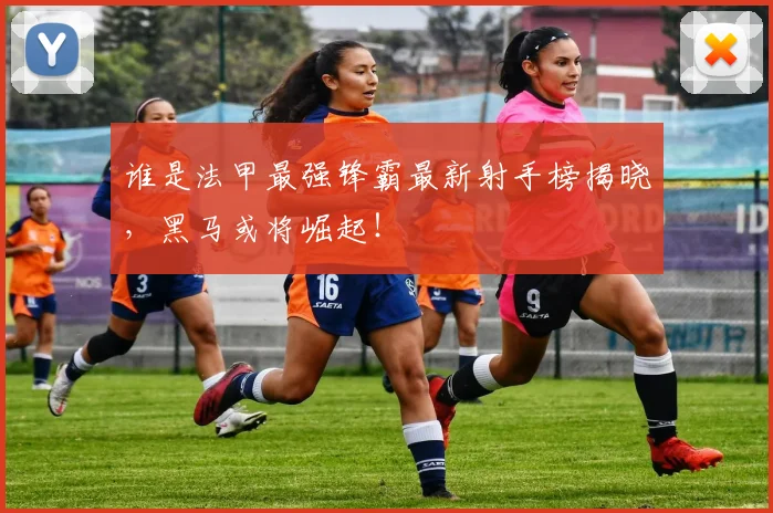 谁是法甲最强锋霸最新射手榜揭晓,黑马或将崛起!