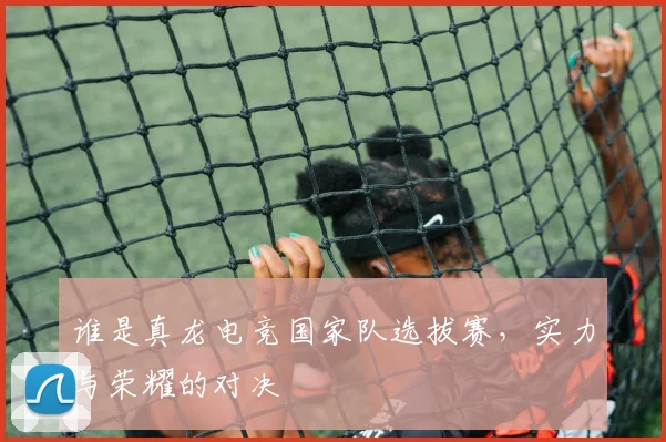 谁是真龙电竞国家队选拔赛,实力与荣耀的对决